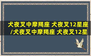 犬夜叉中摩羯座 犬夜叉12星座/犬夜叉中摩羯座 犬夜叉12星座-我的网站